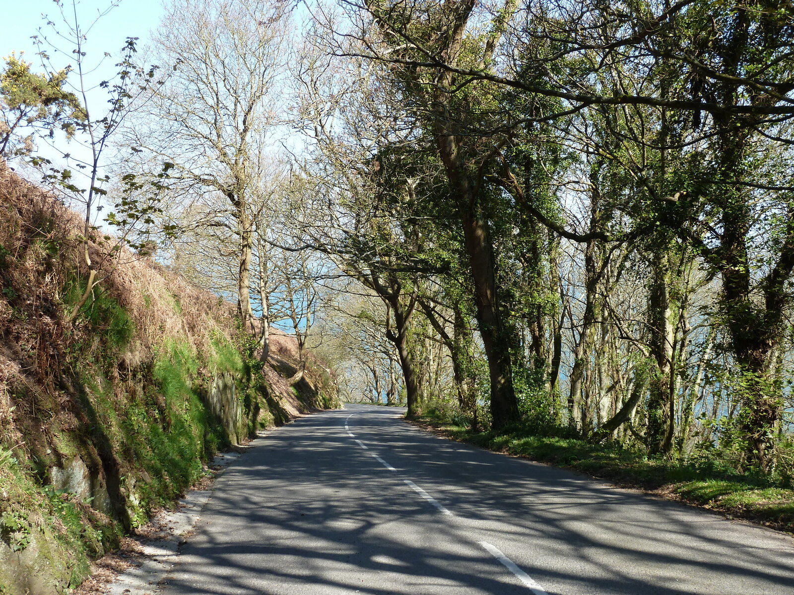 照片 泽西岛(Jersey) 2010-04 27