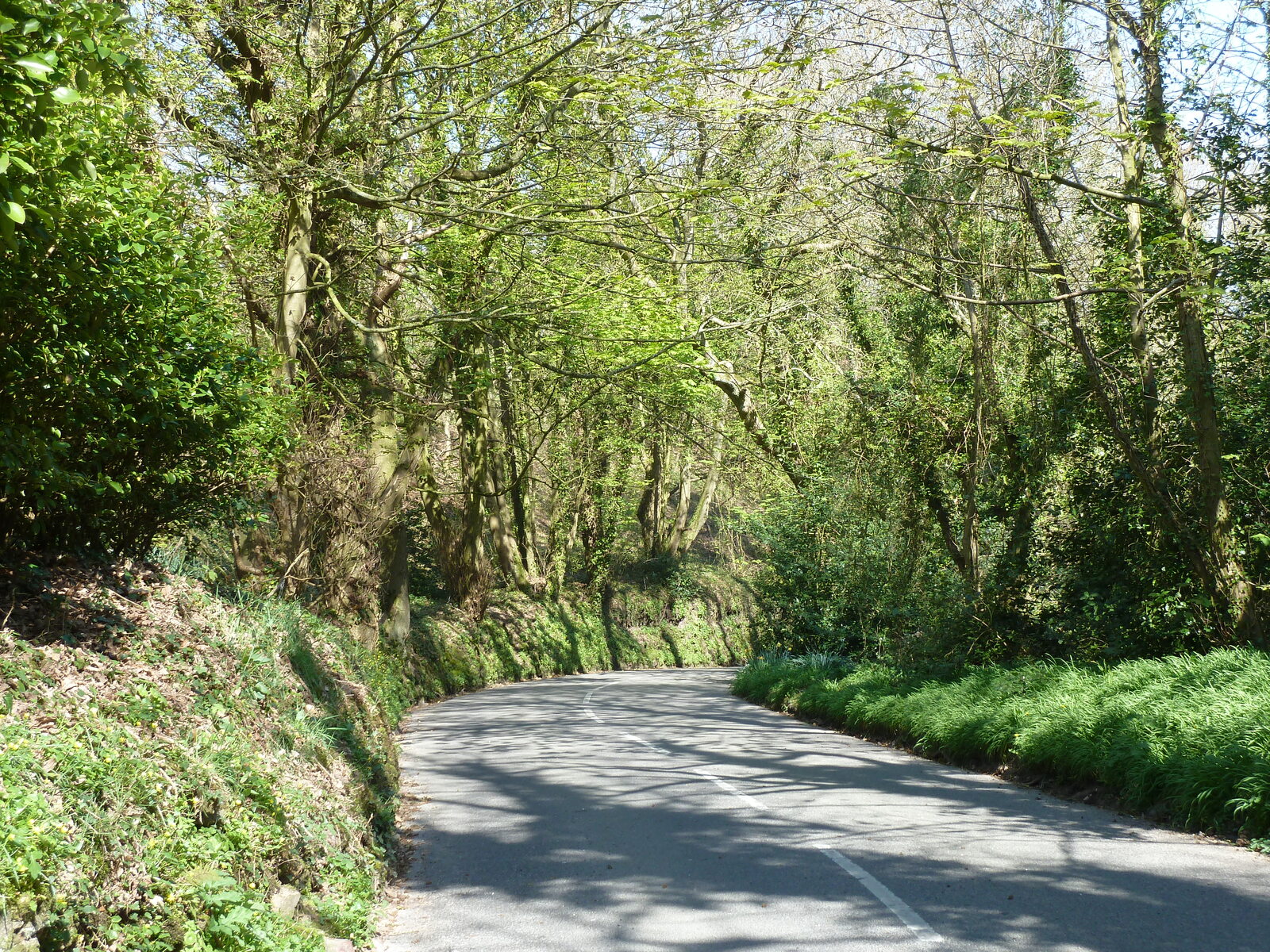 照片 泽西岛(Jersey) 2010-04 25