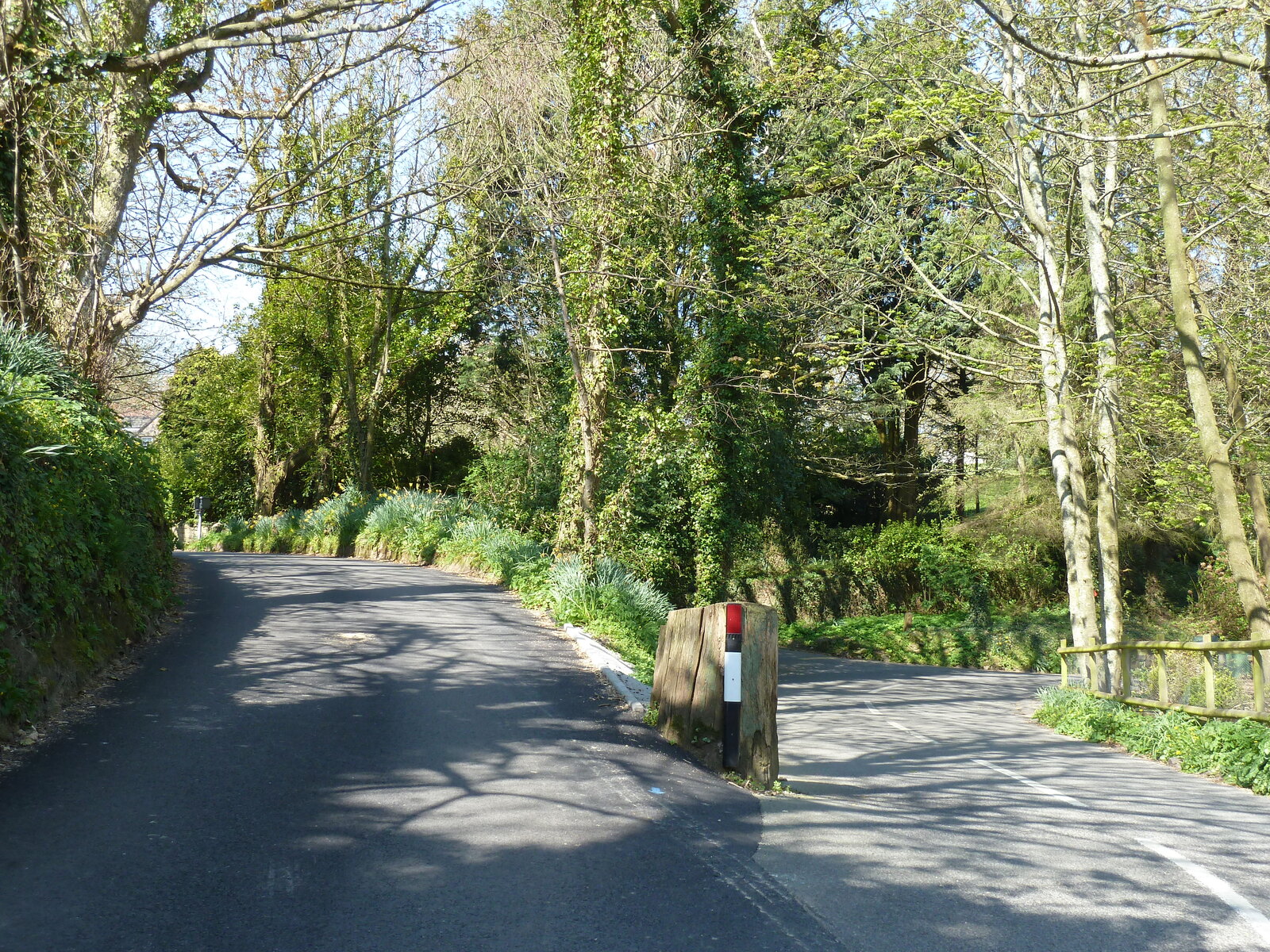照片 泽西岛(Jersey) 2010-04 4