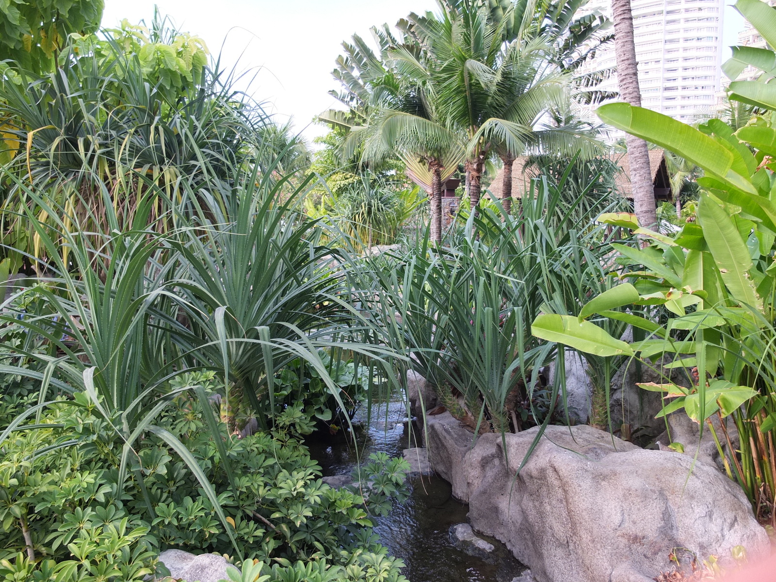 照片 泰国(Thailand) 芭提雅(Pattaya) 盛泰乐酒店(Centara Hotel) 2011-12 64