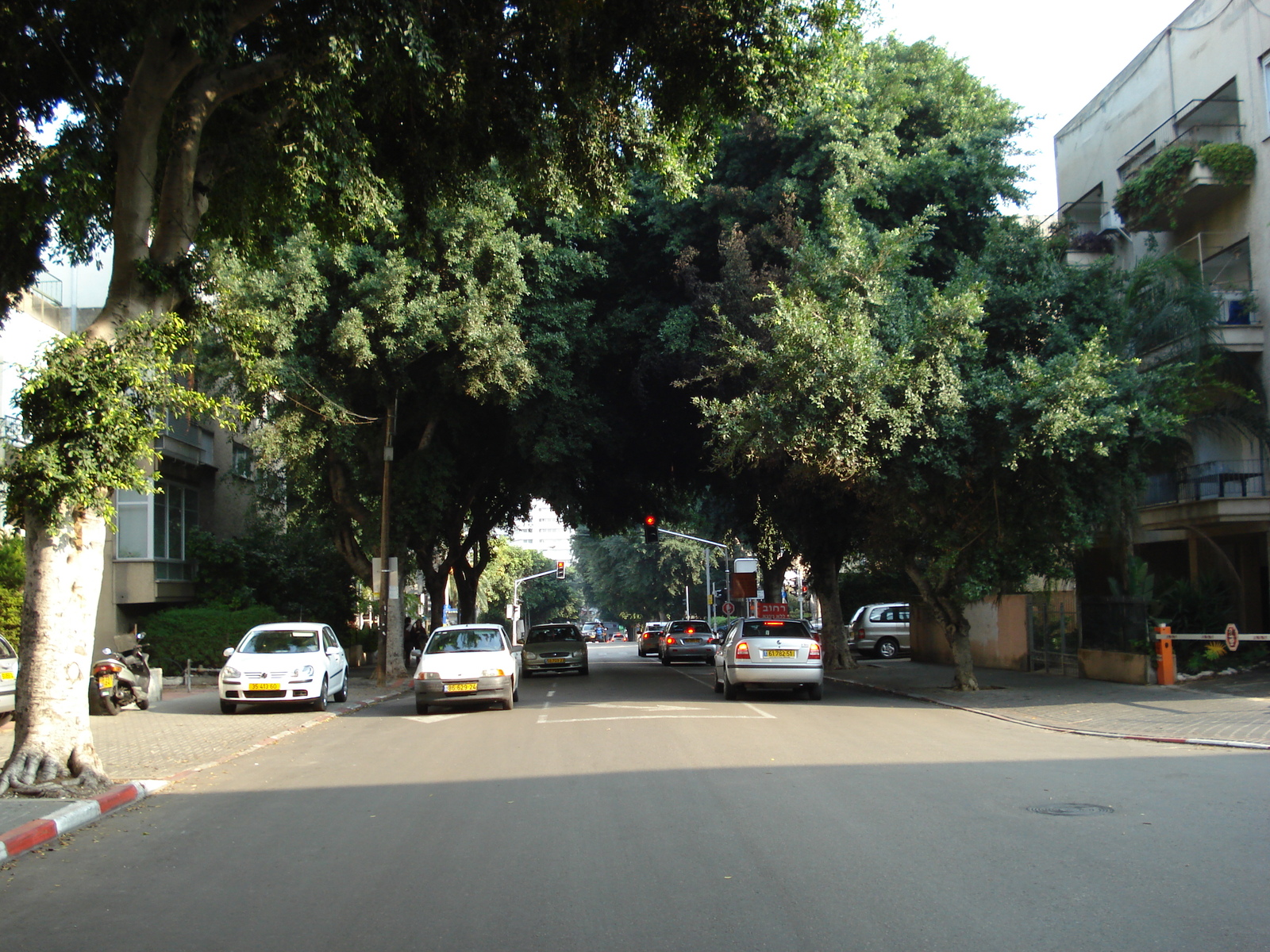 照片 以色列(Israel) 特拉维夫(Tel Aviv) 2006-12 8