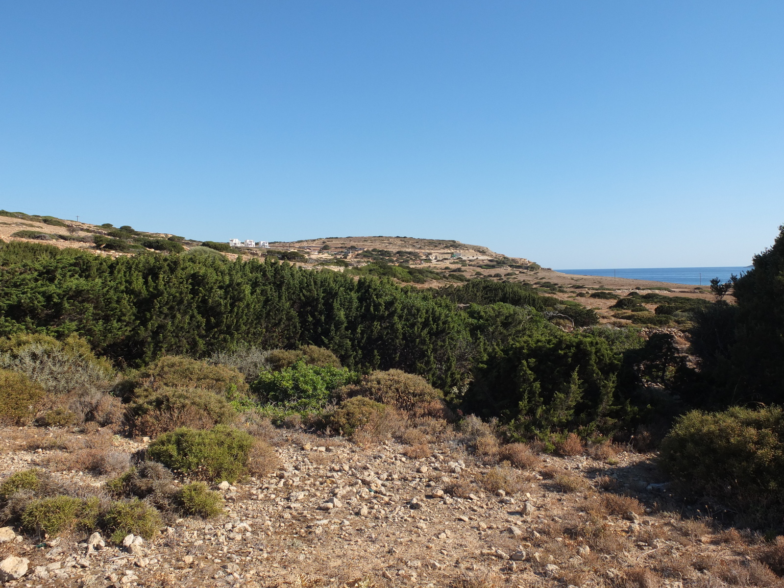 照片 希腊(Greece) 库福尼西亚群岛(Koufonissia) 2014-07 427