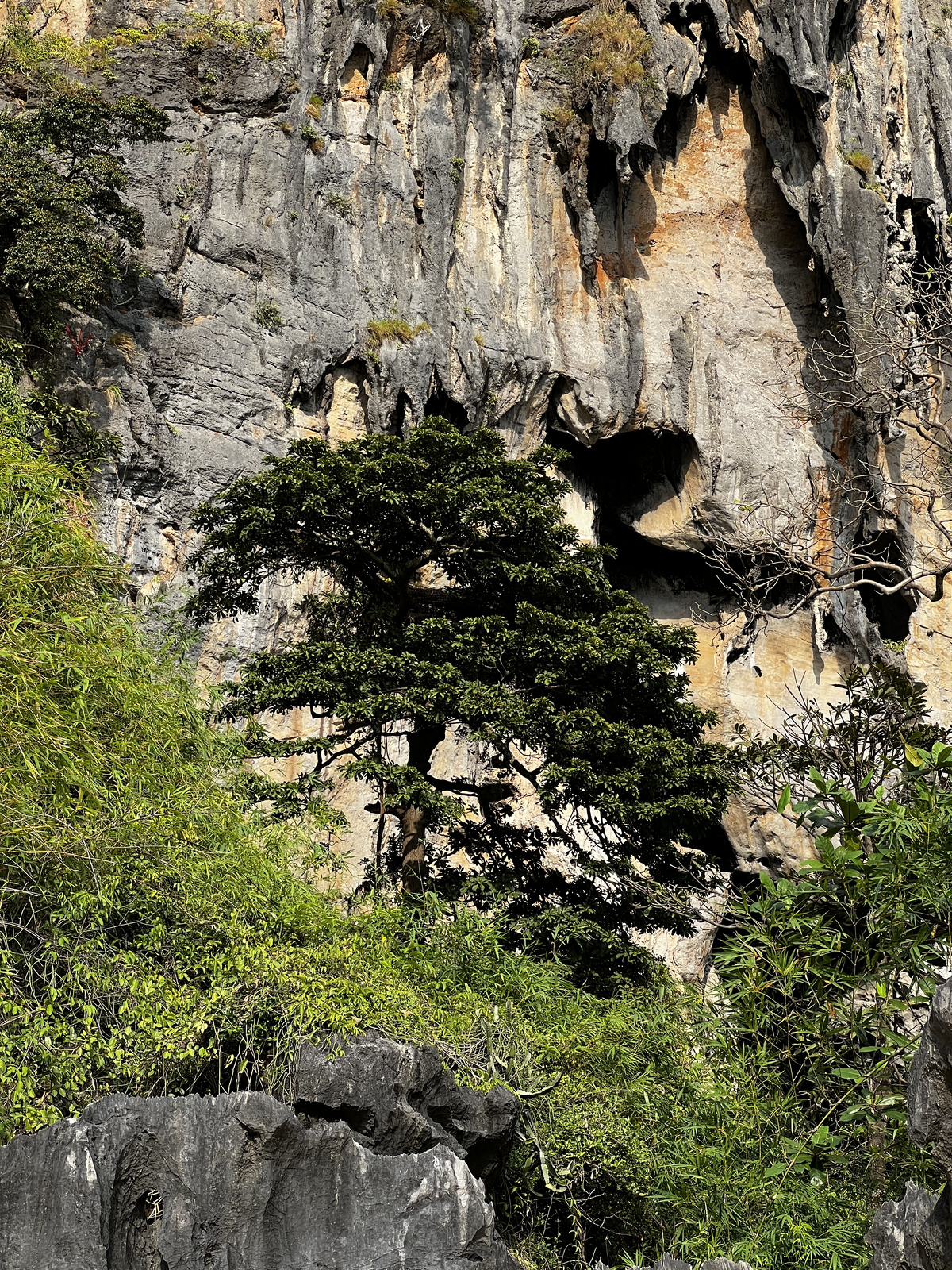 照片 泰国(Thailand) 甲米(Krabi) 2023-01 171