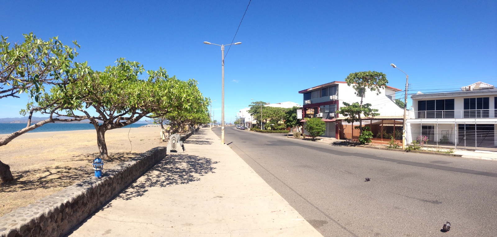 照片 哥斯达黎加(Costa Rica) 蓬塔雷纳斯(Puntarenas) 2015-03 113