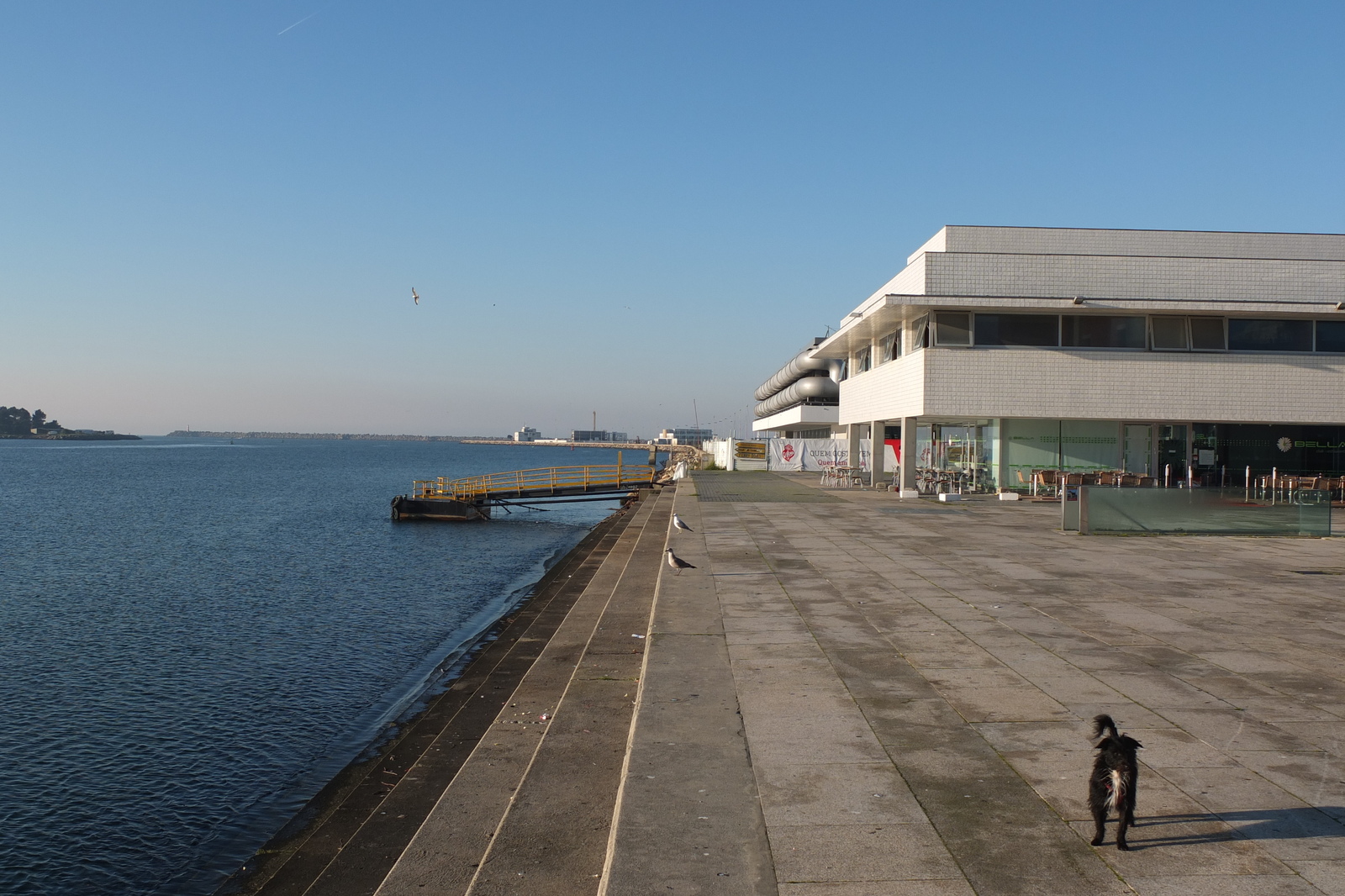照片 葡萄牙(Portugal) 维亚纳堡(Viana do Castelo) 2013-01 93