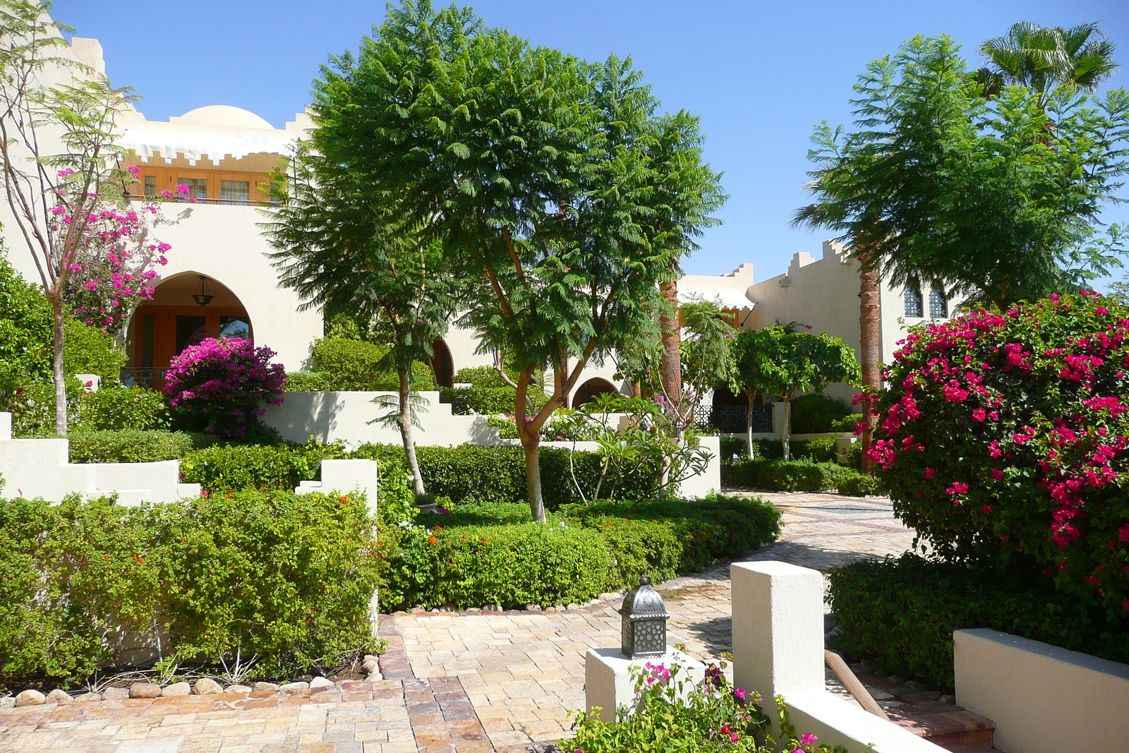 照片 埃及(Egypt) 沙姆沙伊赫(Sharm el Sheikh) 四季酒店(Four Seasons Hotel) 2008-06 23