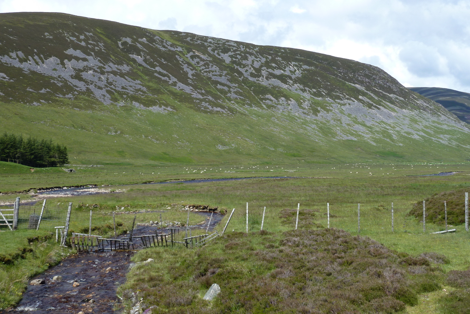 照片 英国(United Kingdom) 凯恩戈姆山国家公园(Cairngorms National Park) 2011-07 70