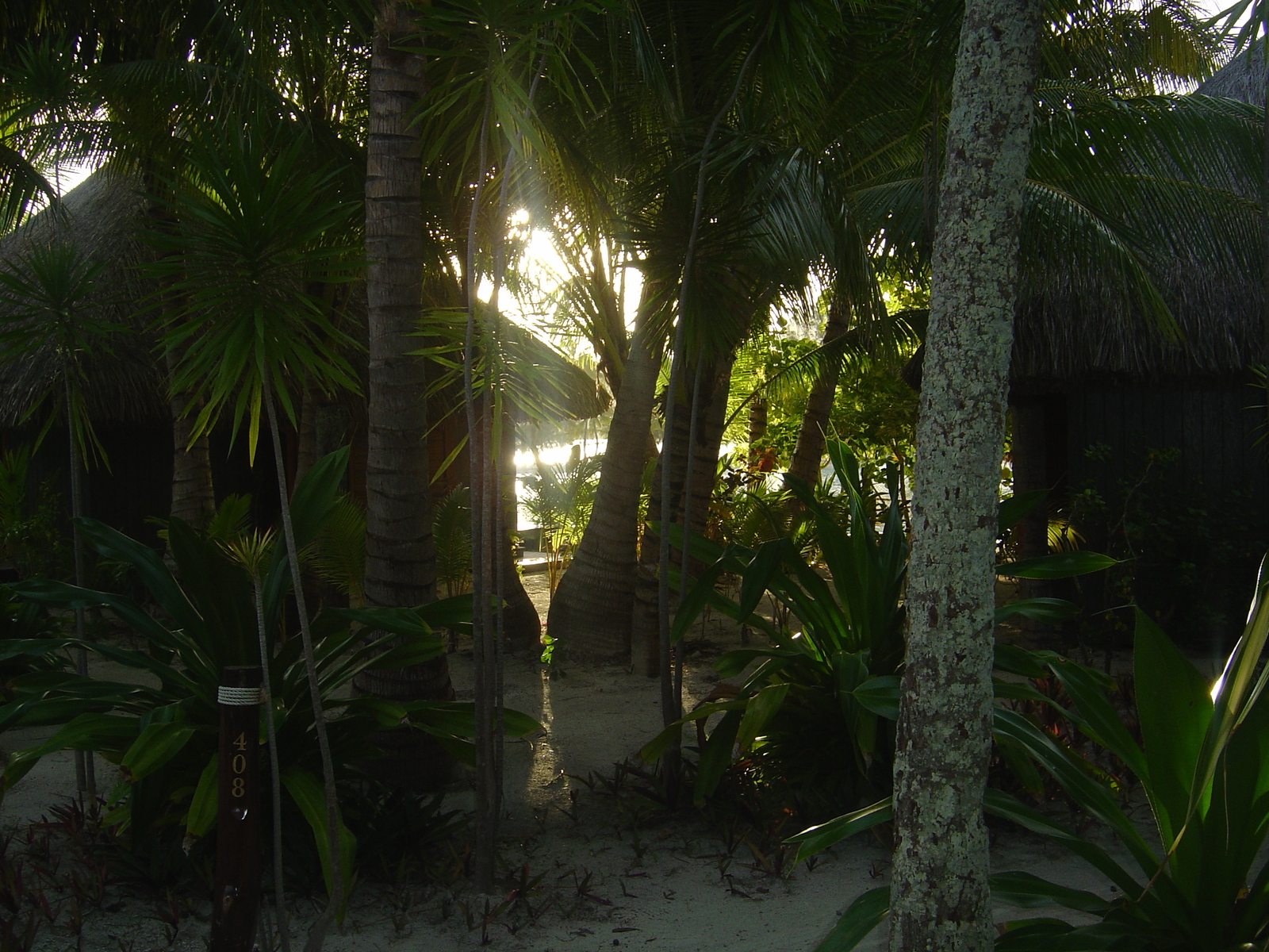 照片 波利尼西亚(Polynesia) 波拉波拉艾美酒店(Meridien Bora Bora Hotel) 2006-04 44