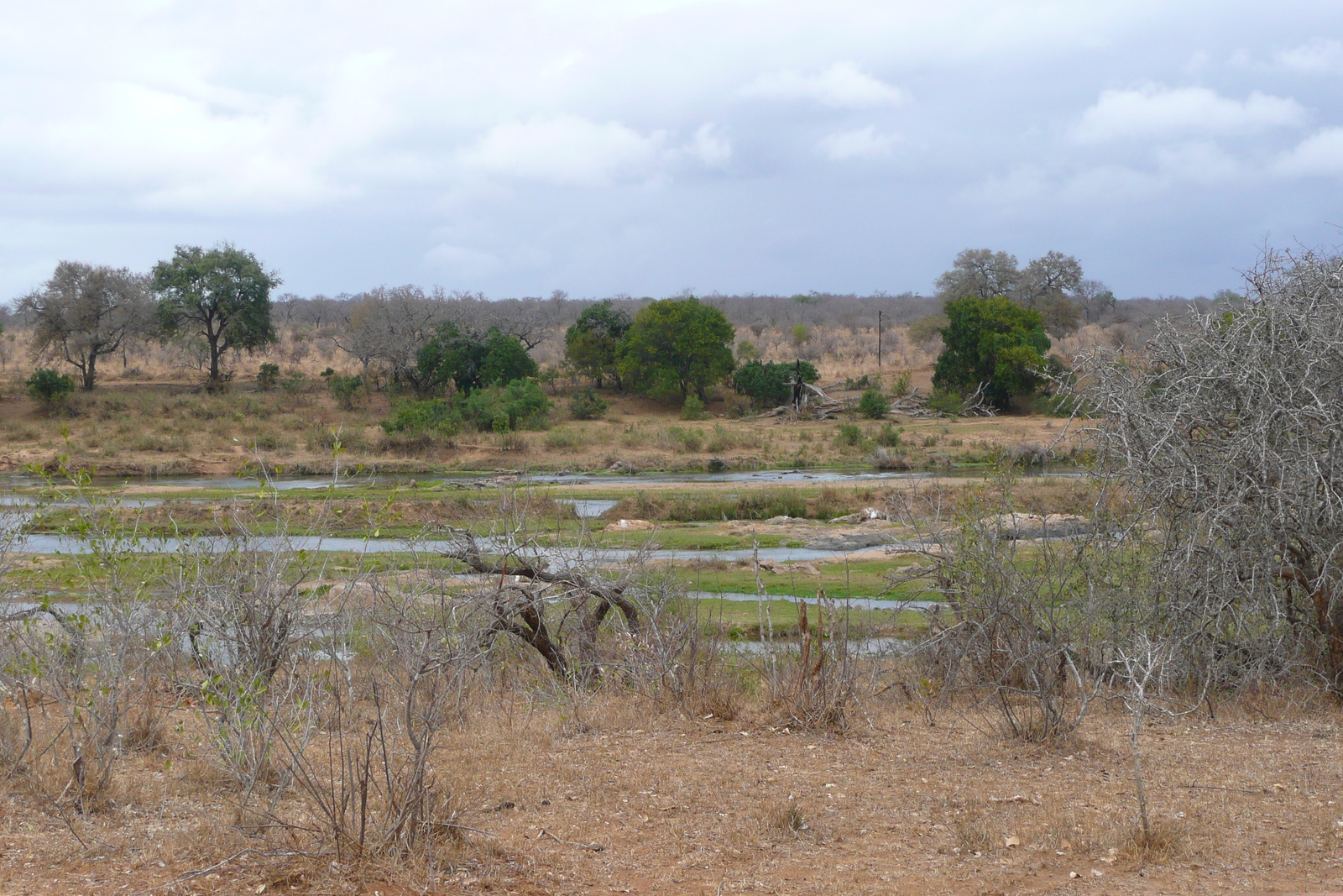 照片 南非(South Africa) 克鲁格国家公园(Kruger National Park) 鳄鱼河(Crocodile River) 2008-09 71