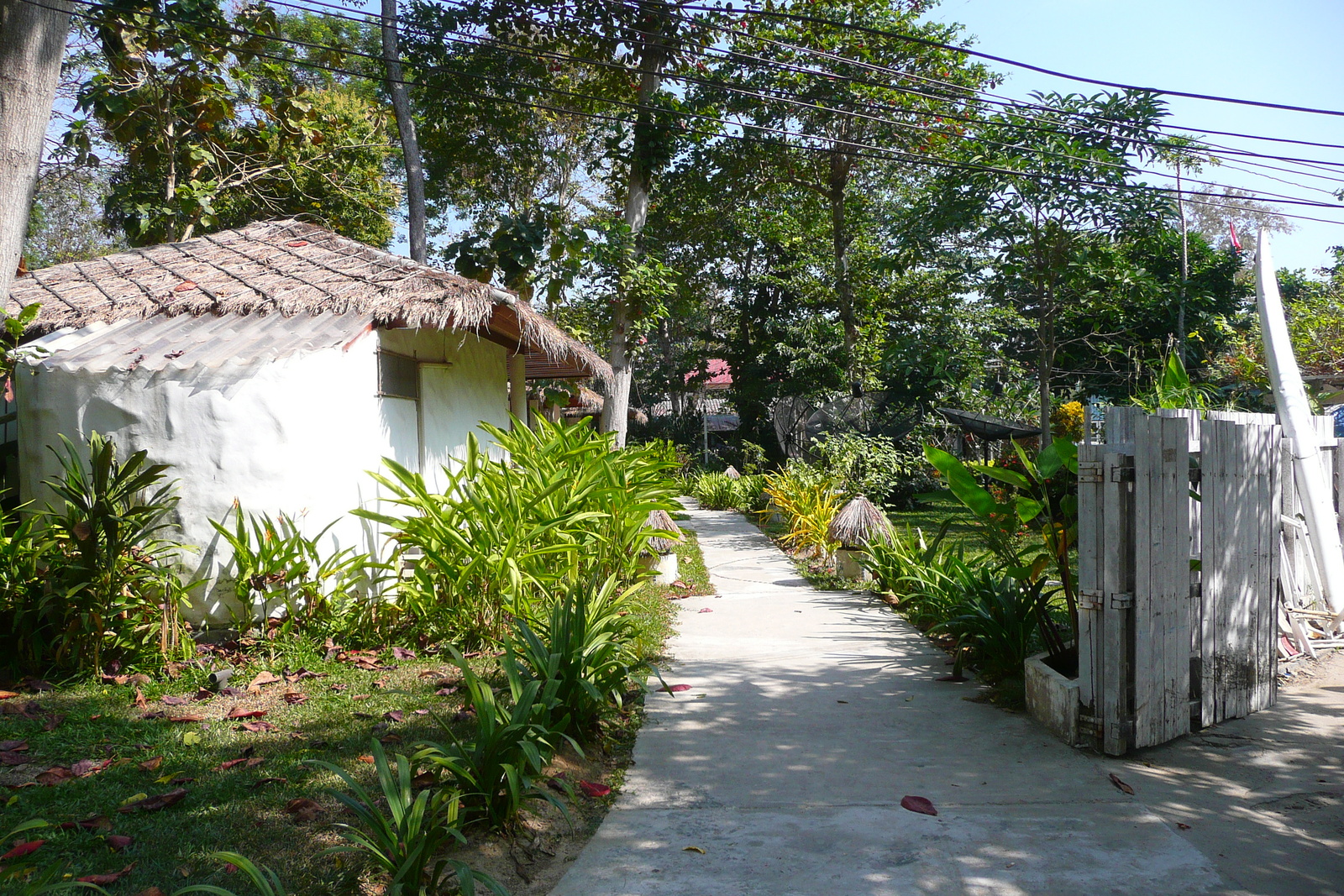 照片 泰国(Thailand) 沙美岛(Ko Samet) 旺端湾(Ao Wong Duan) 2009-01 12