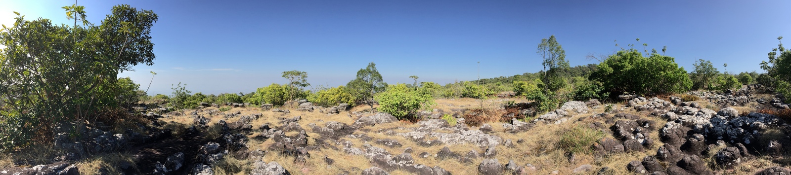 照片 泰国(Thailand) 普欣隆卡国家公园(Phu Hin Rong Kla National Park) 2014-12 385