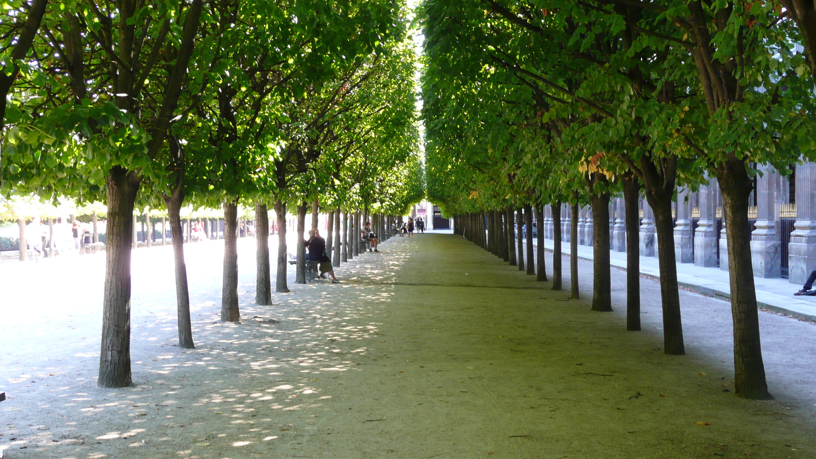 照片 法国(France) 巴黎(Paris) 皇家宫殿(Palais Royal) 2007-08 48