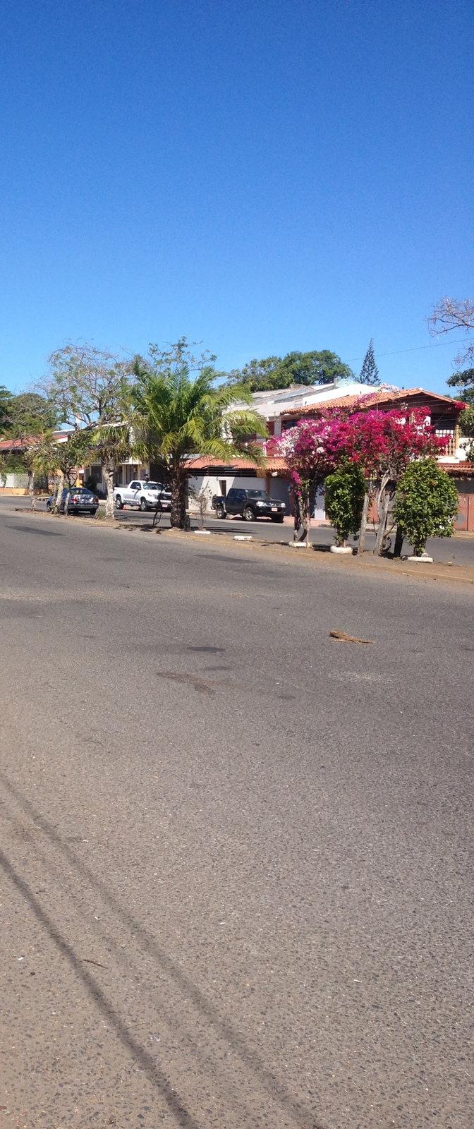 照片 哥斯达黎加(Costa Rica) 蓬塔雷纳斯(Puntarenas) 2015-03 49