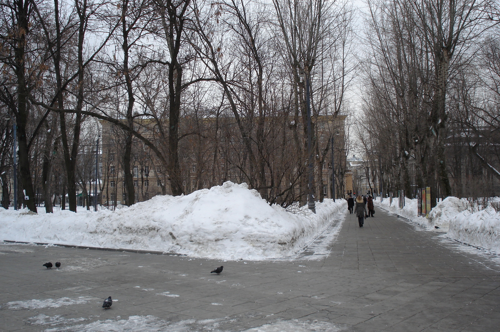 照片 俄罗斯(Russia) 莫斯科(Moscow) 2006-03 70