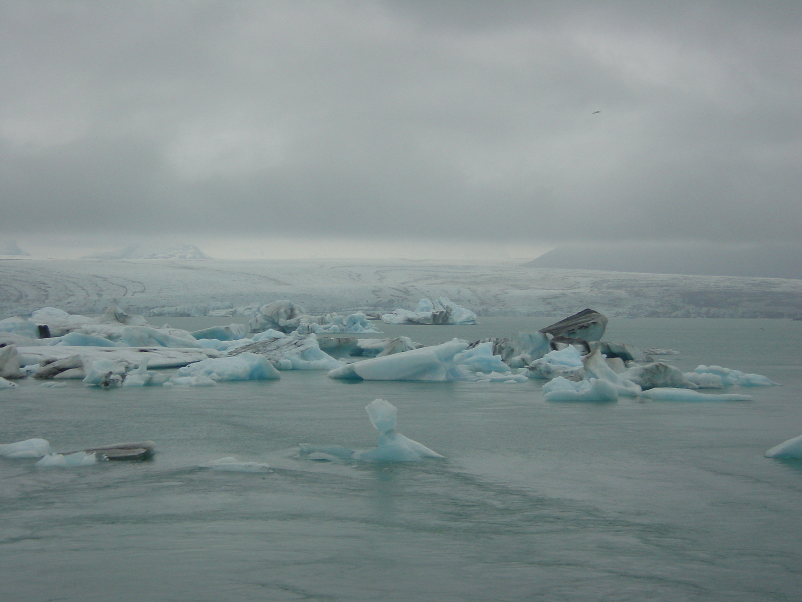 照片 冰岛(Iceland) 杰古沙龙冰河湖(Jokulsarlon) 2003-06 13