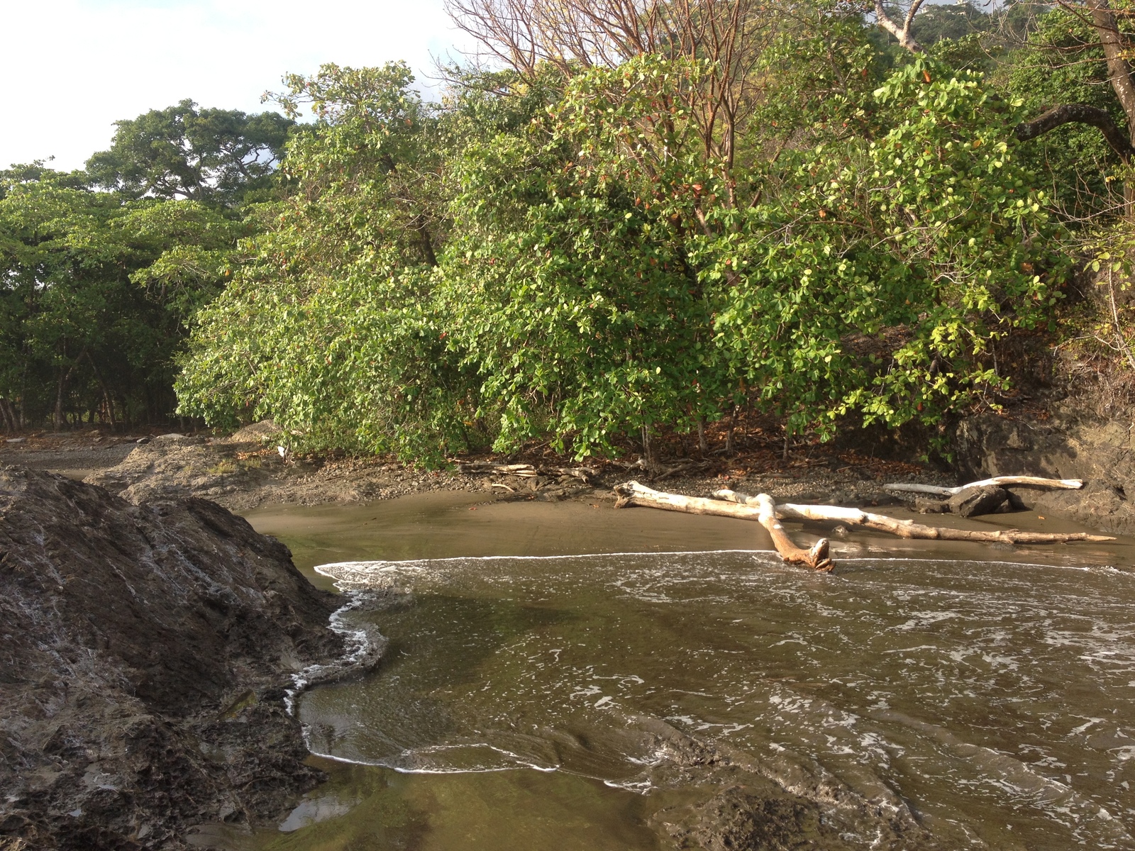 照片 哥斯达黎加(Costa Rica) 多米尼卡尔(Dominical) 2015-03 72