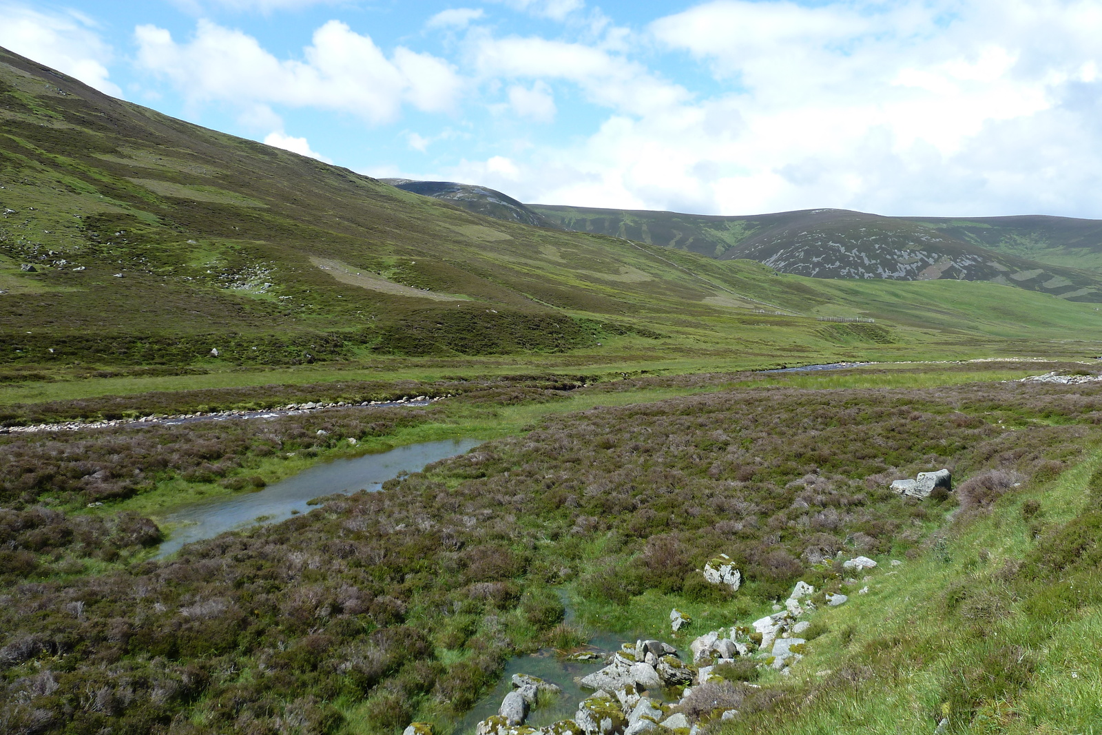 照片 英国(United Kingdom) 凯恩戈姆山国家公园(Cairngorms National Park) 2011-07 97