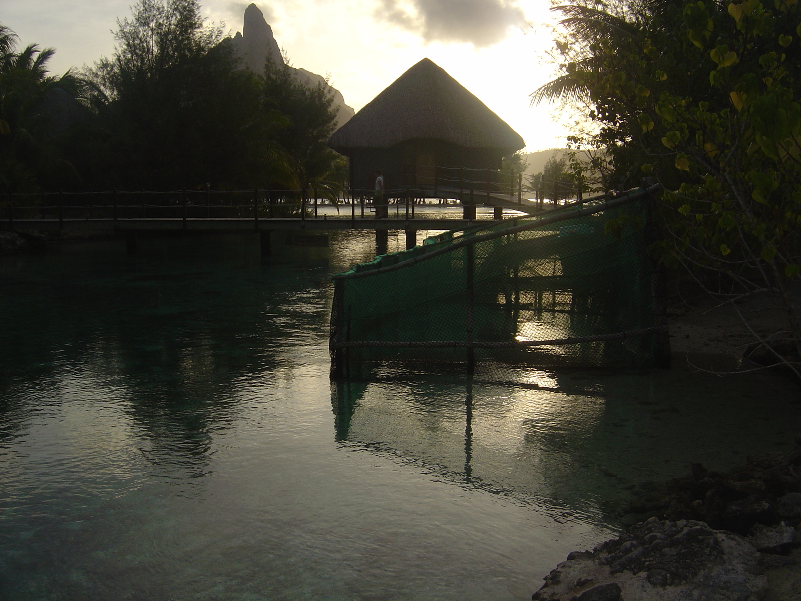 照片 波利尼西亚(Polynesia) 波拉波拉艾美酒店(Meridien Bora Bora Hotel) 2006-04 246