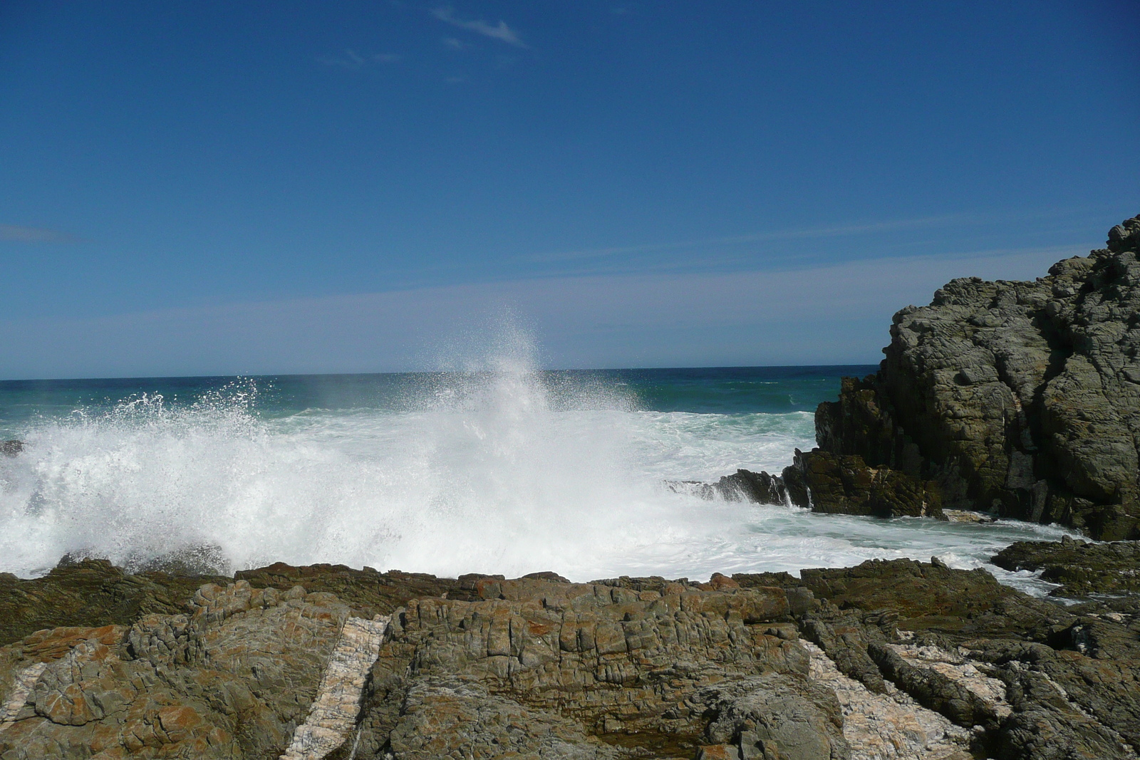 照片 南非(South Africa) 齐齐卡马国家公园(Tsitsikamma National Park) 2008-09 76