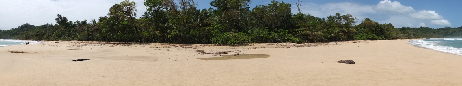 照片 巴拿马(Panama) 巴斯蒂门托斯岛(Bastimentos) 2015-03 91