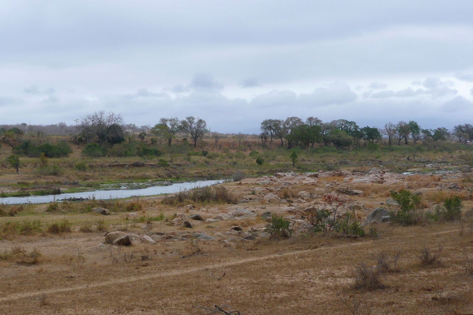 照片 南非(South Africa) 克鲁格国家公园(Kruger National Park) 鳄鱼河(Crocodile River) 2008-09 69