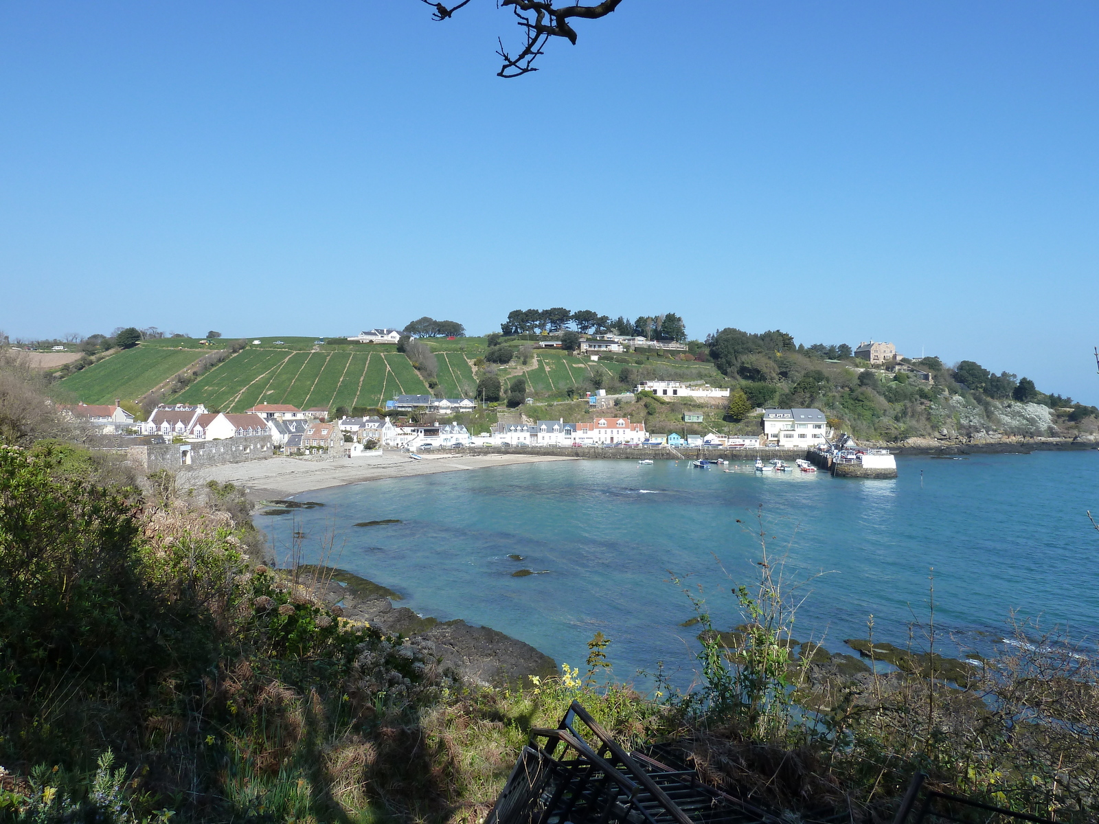 照片 泽西岛(Jersey) 2010-04 205