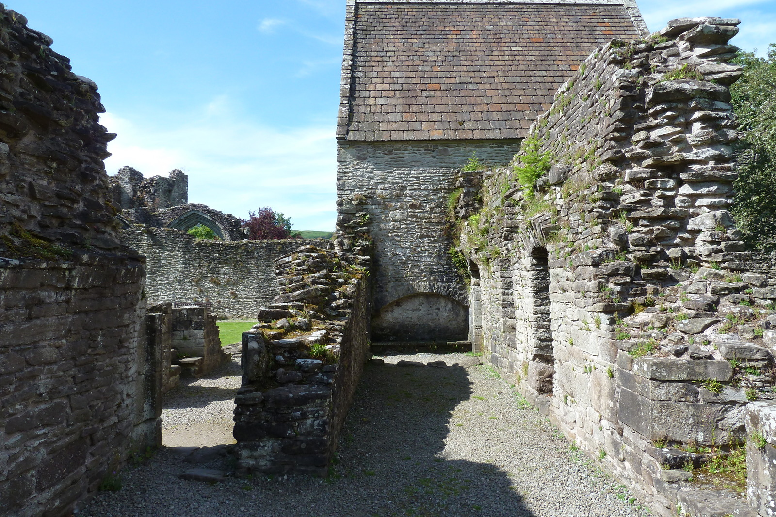照片 英国(United Kingdom) 苏格兰(Scotland) 英奇马霍姆修道院(Inchmahome Priory) 2011-07 36
