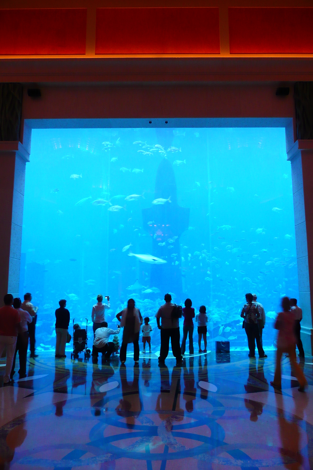 照片 阿联酋(United Arab Emirates) 迪拜(Dubai) 迪拜水世界(Dubai Aquaventure) 2009-01 51