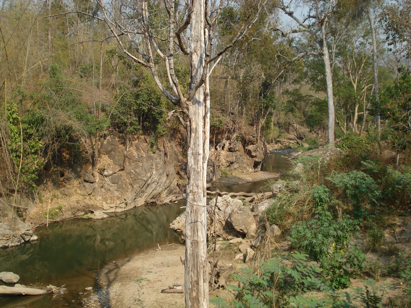 照片 泰国(Thailand) 邦玛帕(Pang Mapha) 2007-02 91