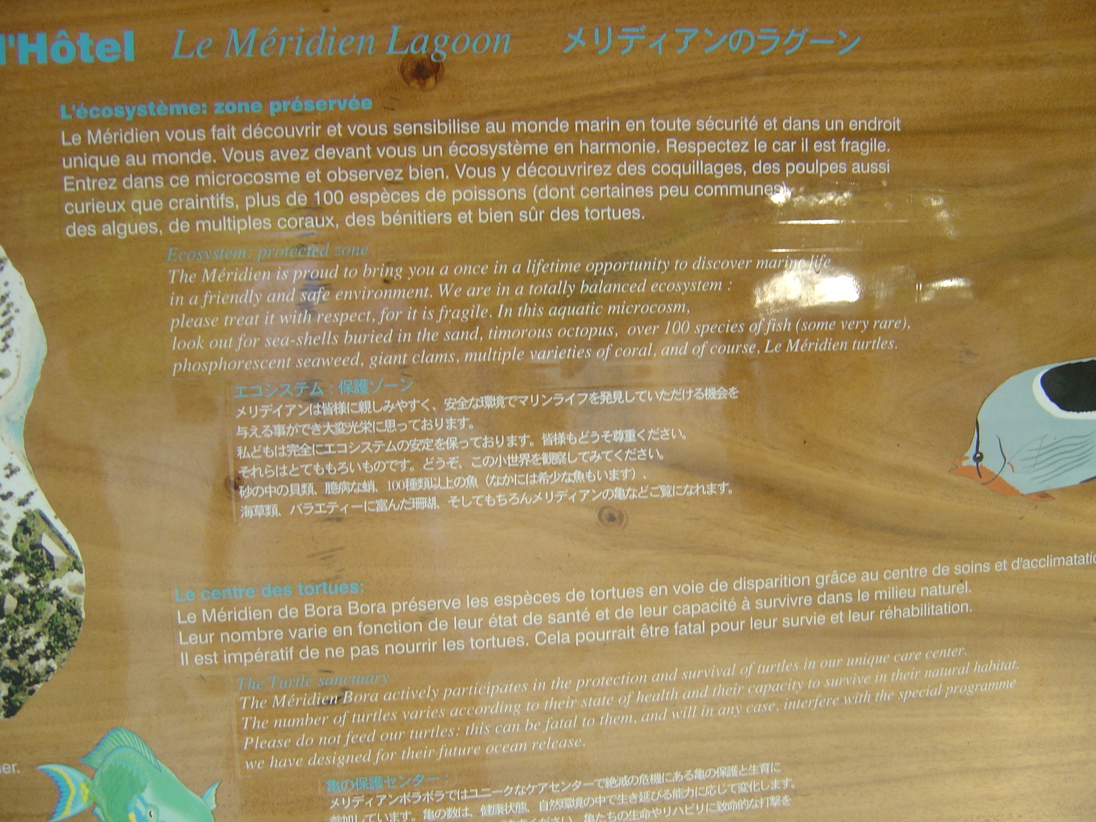 照片 波利尼西亚(Polynesia) 波拉波拉艾美酒店(Meridien Bora Bora Hotel) 2006-04 153