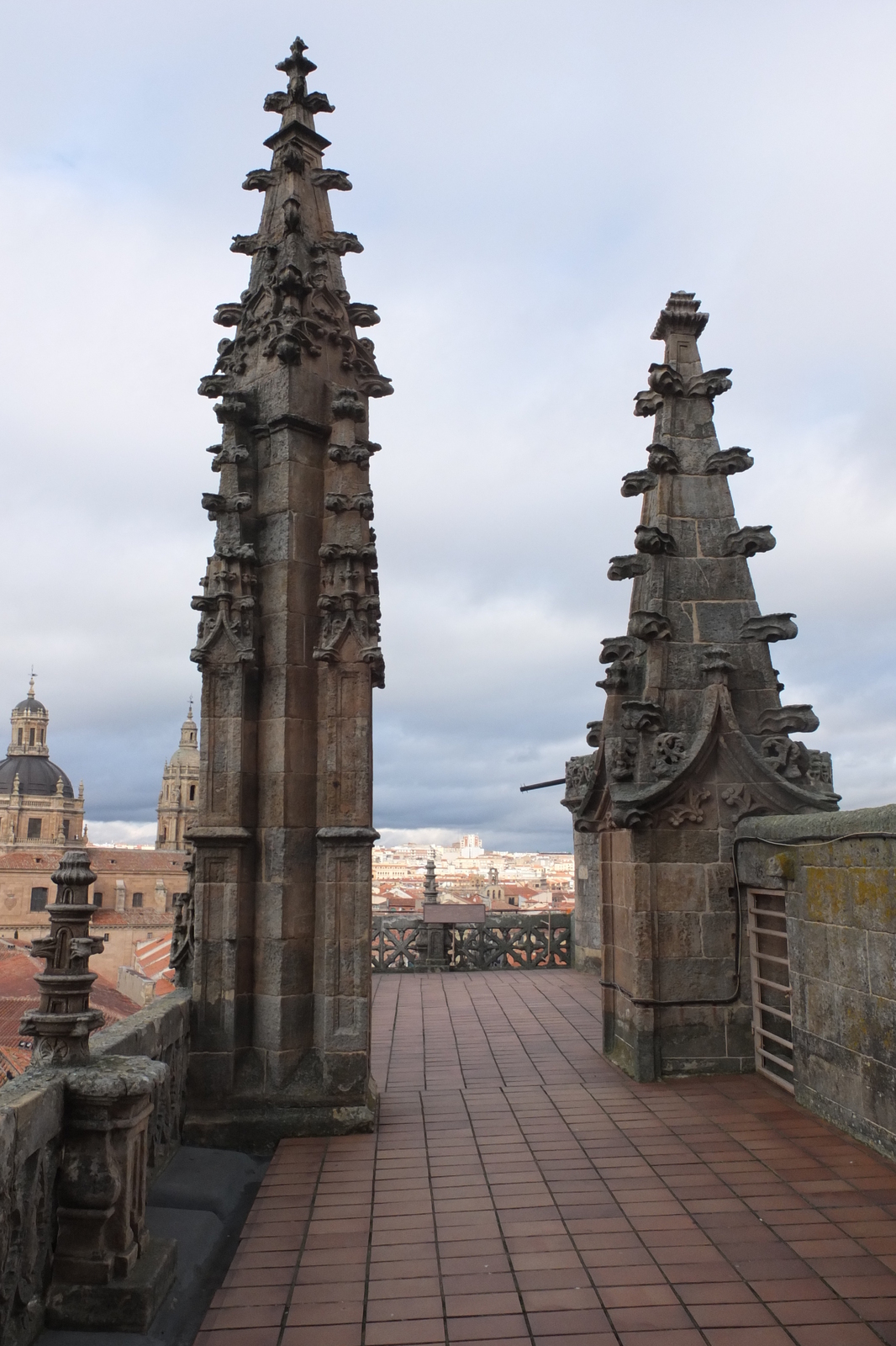 照片 西班牙(Spain) 萨拉曼卡(Salamanca) 2013-01 168