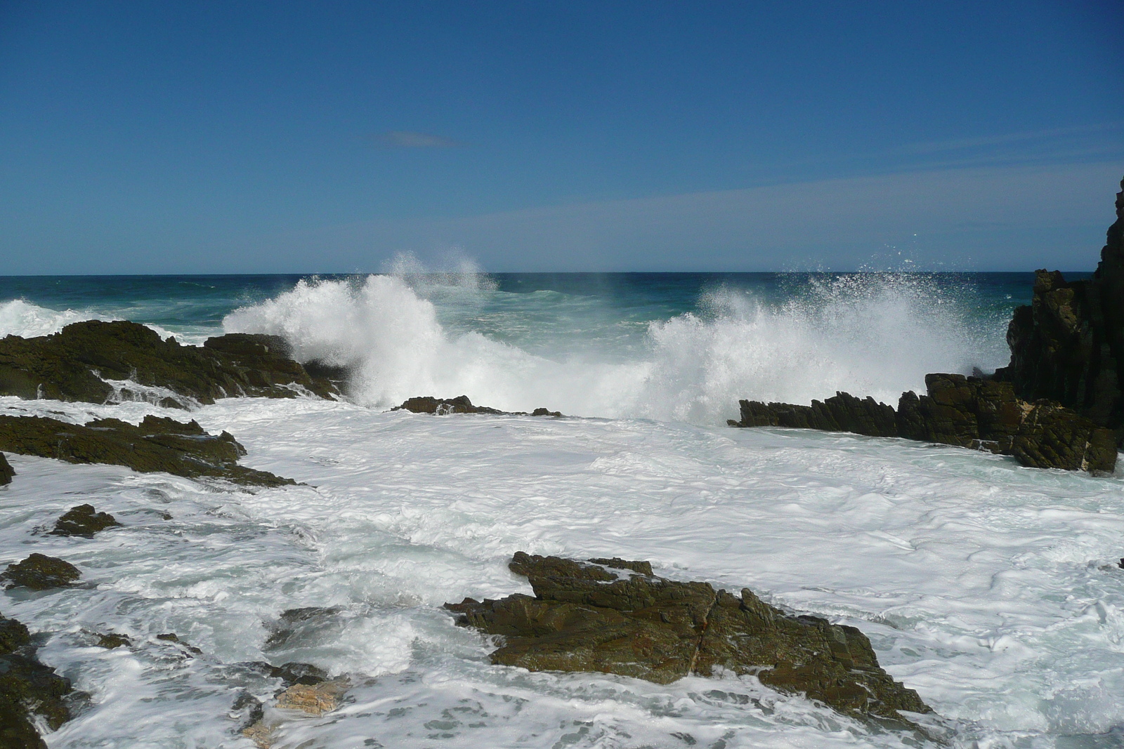 照片 南非(South Africa) 齐齐卡马国家公园(Tsitsikamma National Park) 2008-09 40