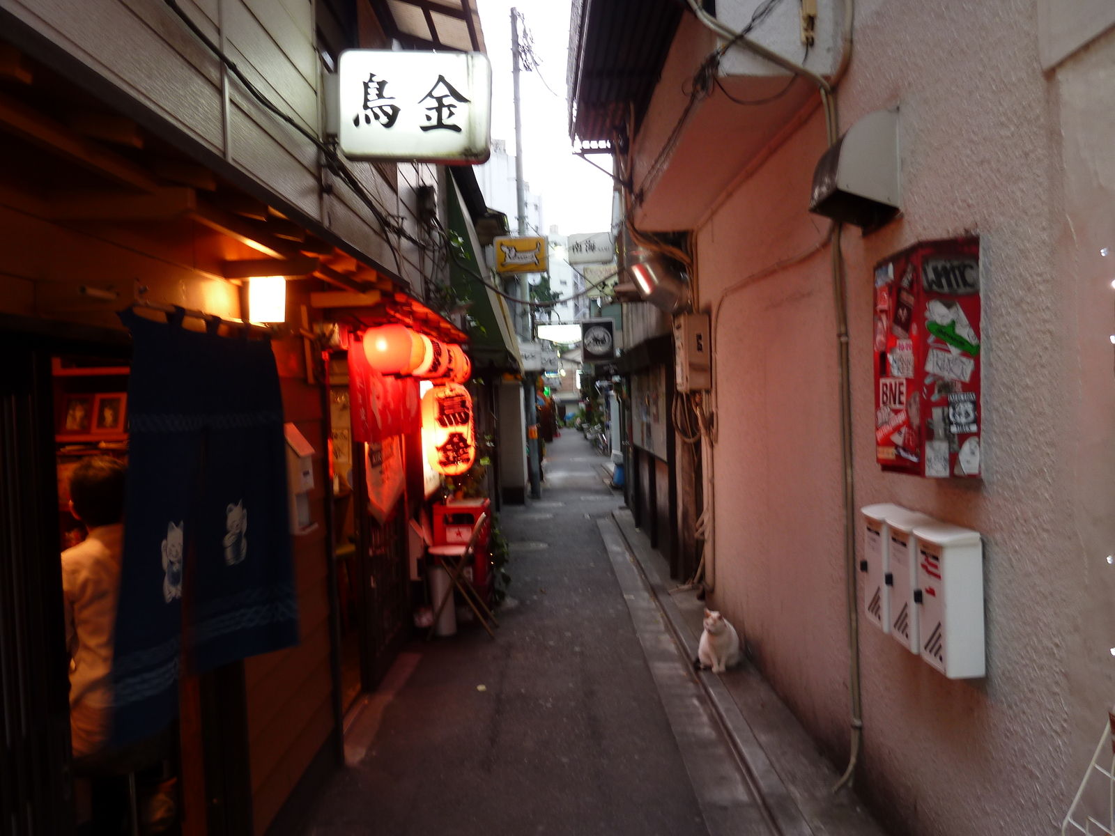照片 日本(Japan) 东京(Tokyo) 新宿(Shinjuku) 2010-06 47