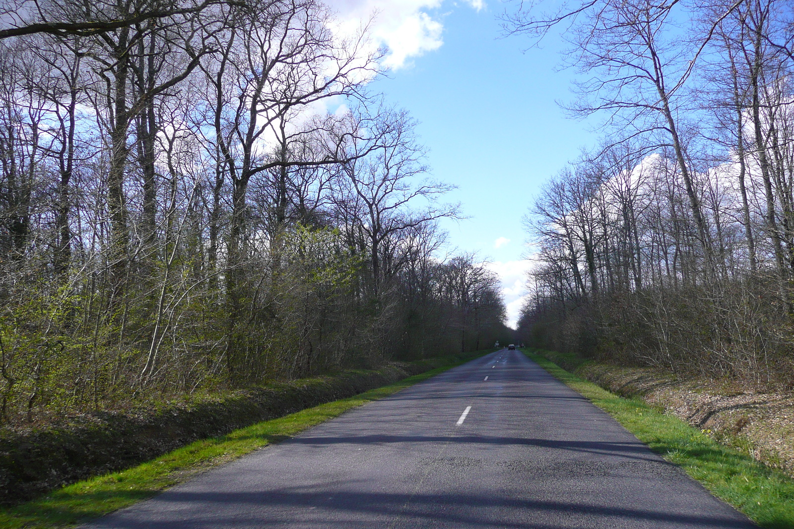 照片 法国(France) 昂布瓦斯(Amboise) 舍农索至昂布瓦斯公路(Chenonceau to Amboise road) 2008-04 16