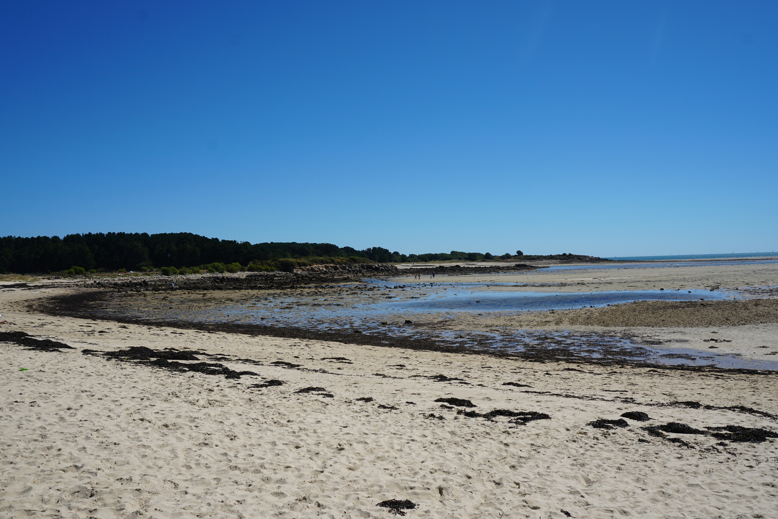照片 法国(France) 滨海拉特里尼泰(La Trinite-sur-Mer) 2016-08 2