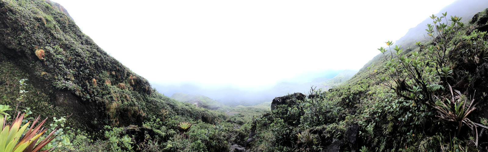 照片 瓜德罗普(Guadeloupe) 大苏弗里耶尔火山(La Grande Soufriere) 2021-02 67