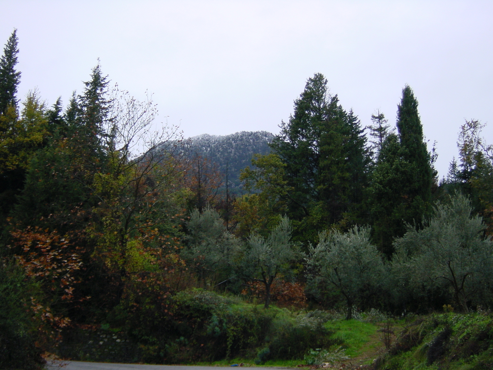 照片 希腊(Greece) 伯罗奔尼撒(Peloponnese) 2003-12 4
