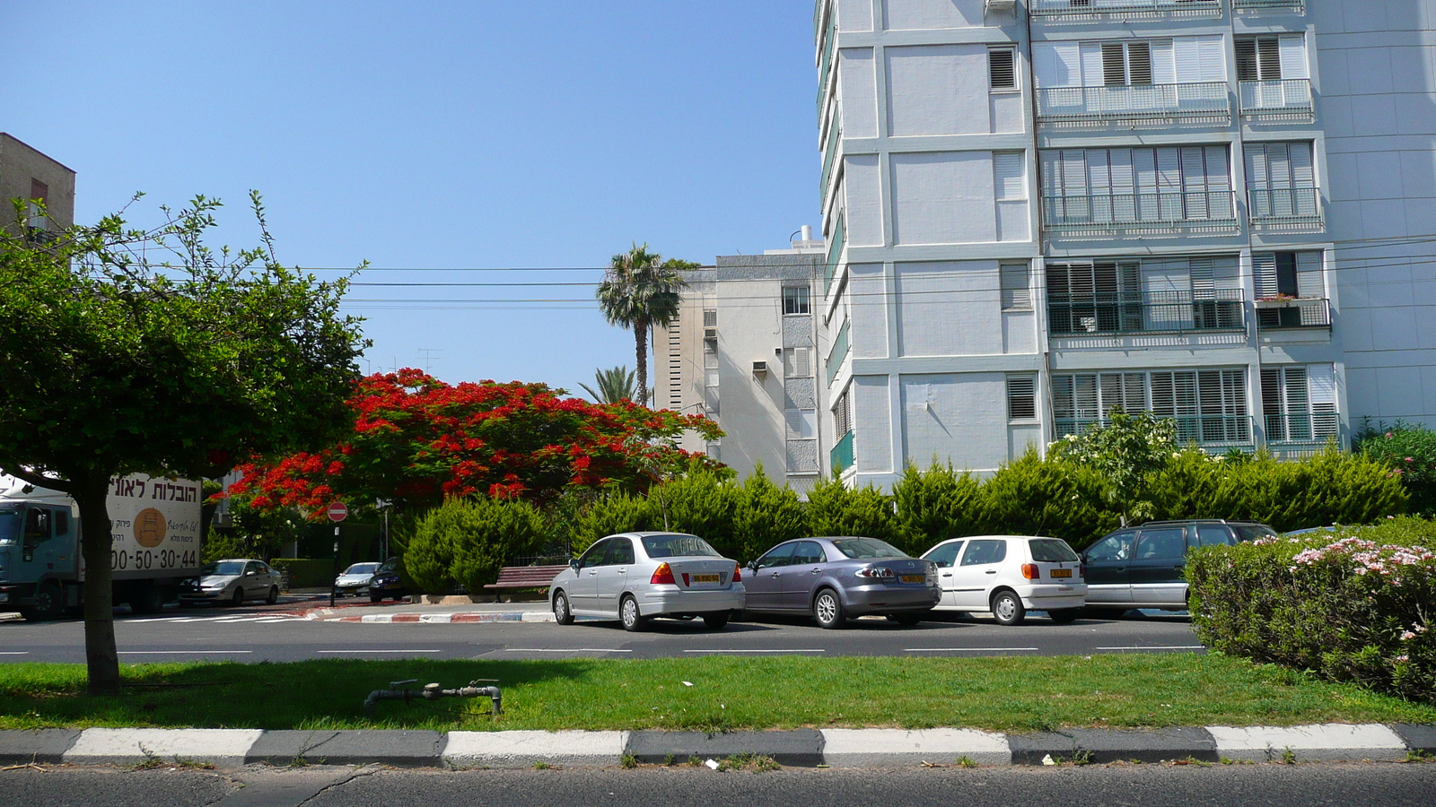 照片 以色列(Israel) 特拉维夫(Tel Aviv) 亚博廷斯基街(Jabotinsky Street) 2007-06 24