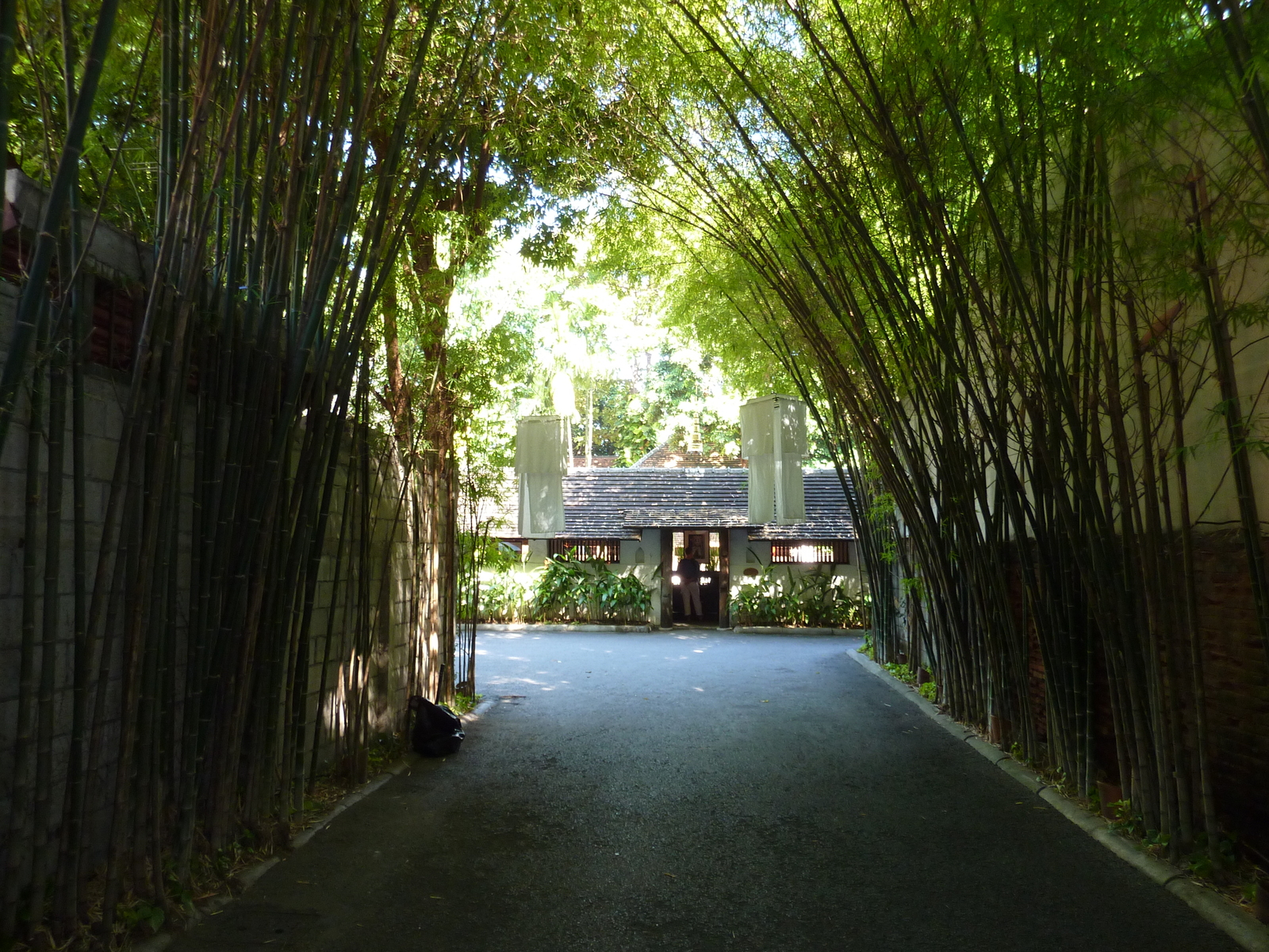 照片 泰国(Thailand) 清迈(Chiang Mai) 拉查丹嫩路(Rachadamnoen road) 2009-12 31