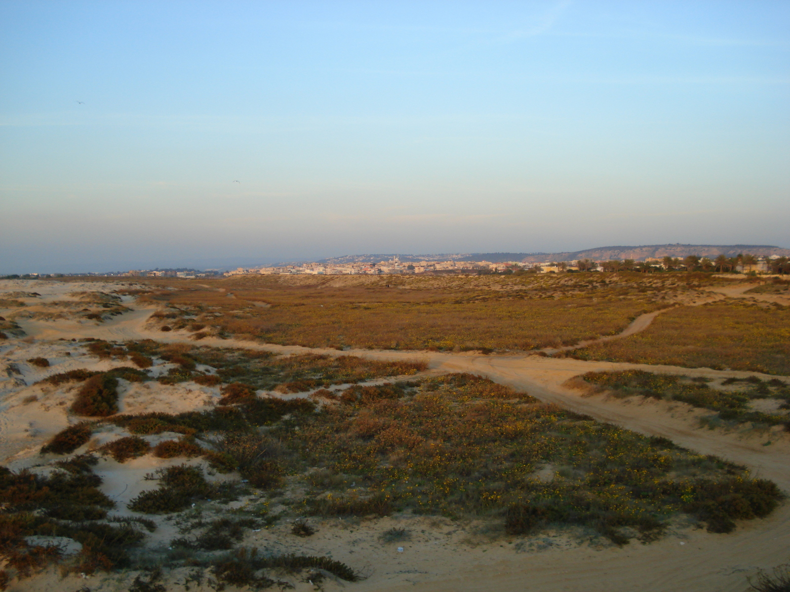 照片 以色列(Israel) 海法至特拉维夫(From Haifa to Tel Aviv) 2006-12 74