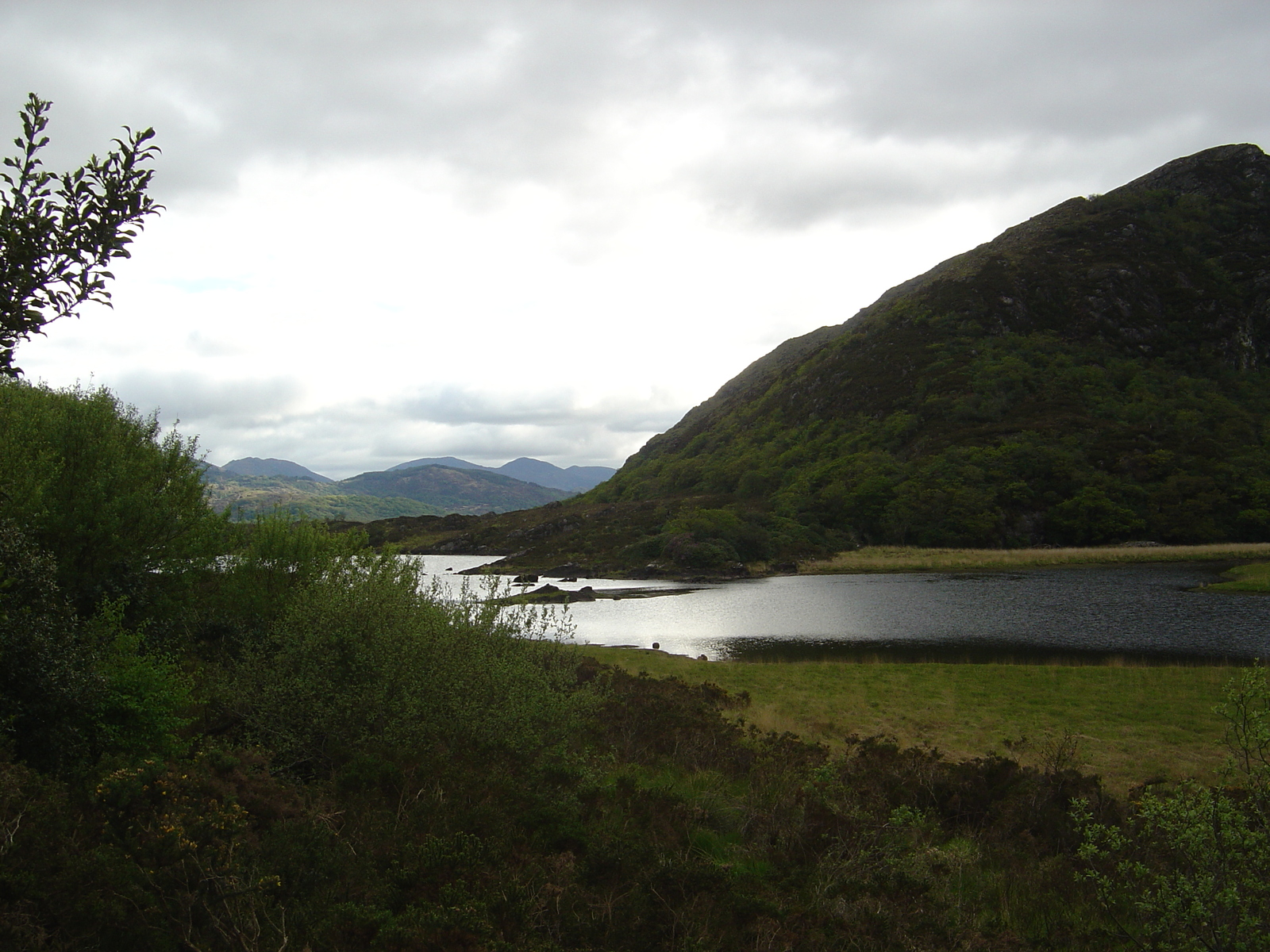 照片 爱尔兰(Ireland) 凯里郡(Kerry) 基拉尼国家公园(Killarney National Park) 2004-05 34
