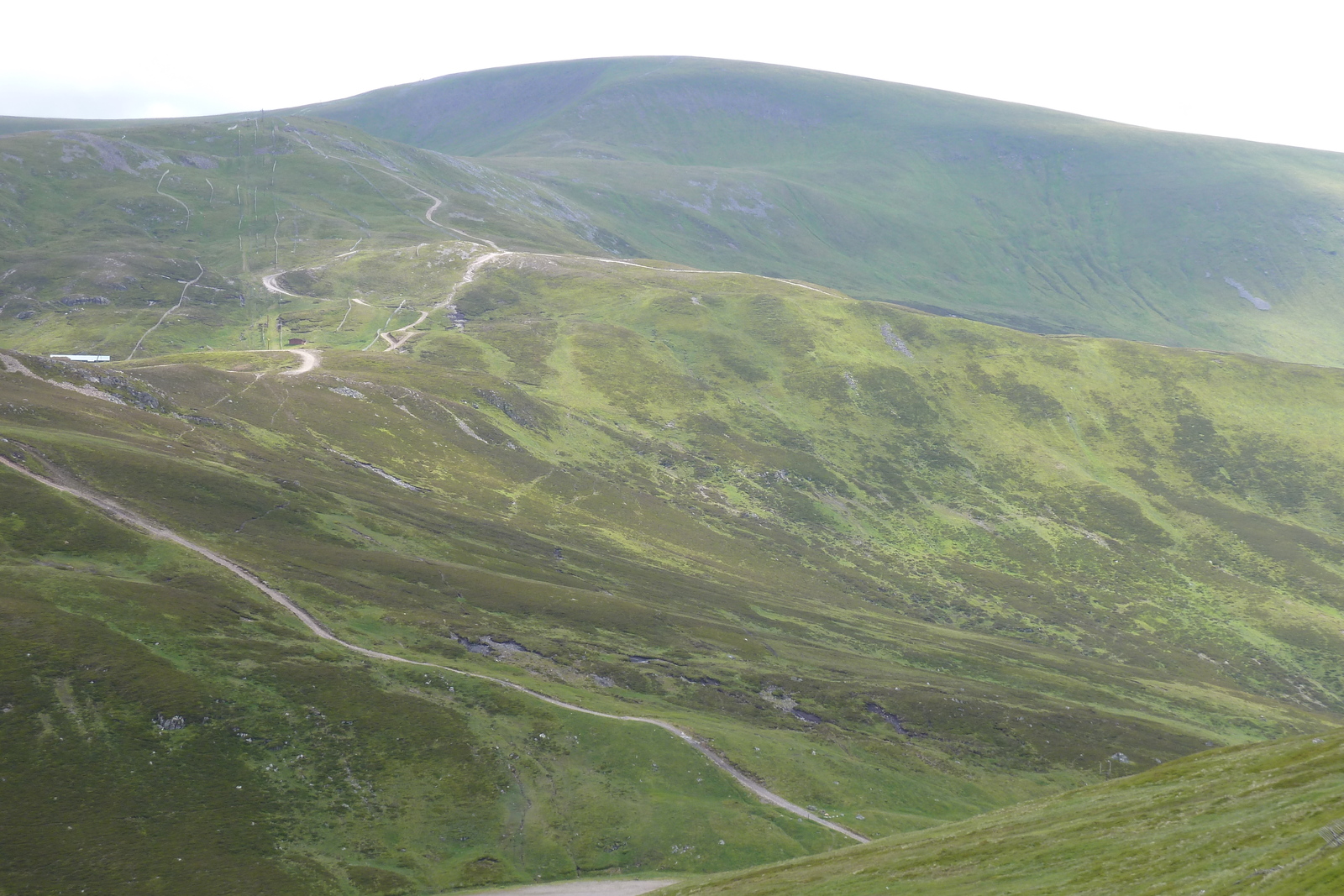 照片 英国(United Kingdom) 凯恩戈姆山国家公园(Cairngorms National Park) 2011-07 43