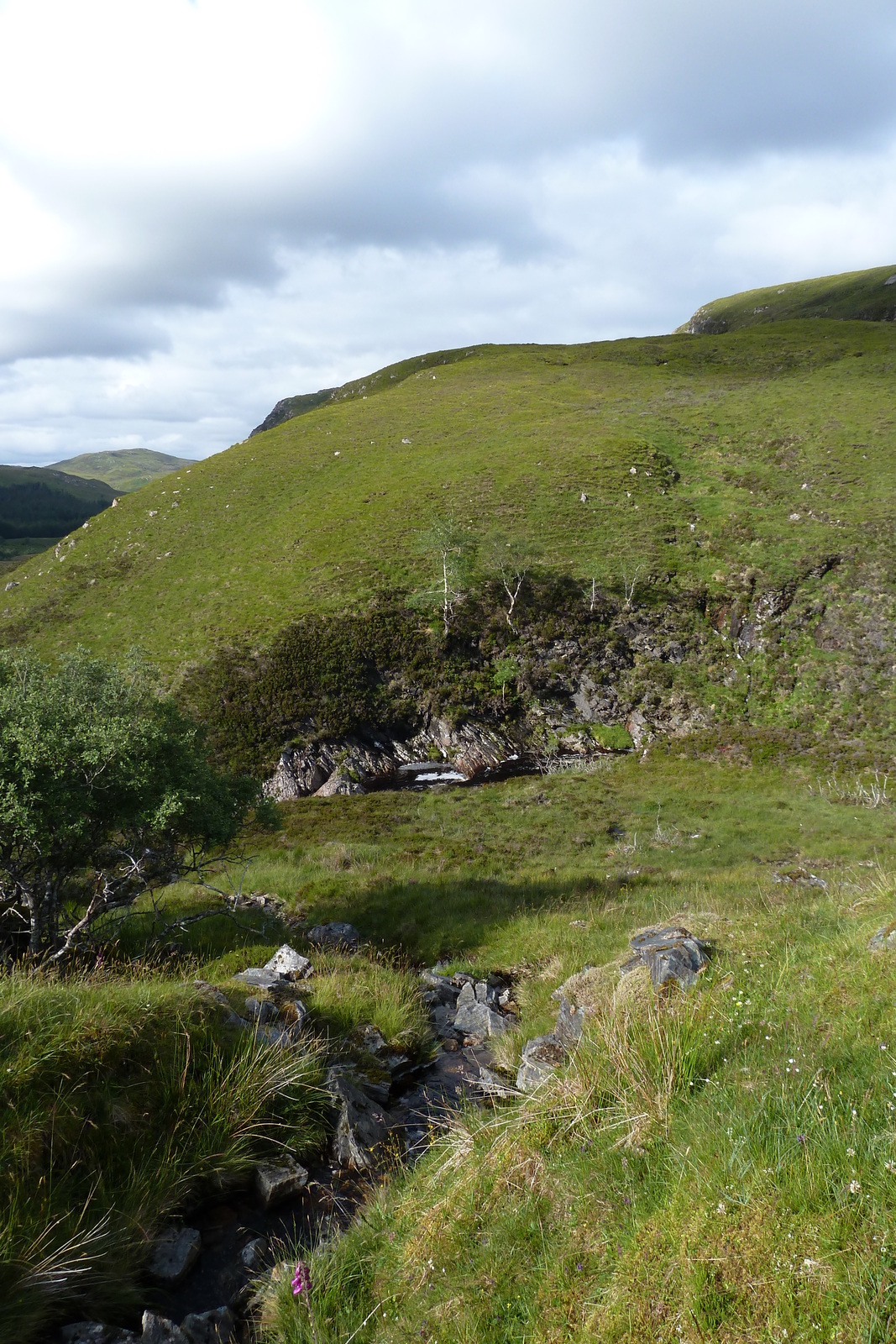 照片 英国(United Kingdom) 韦斯特罗斯(Wester Ross) 2011-07 72