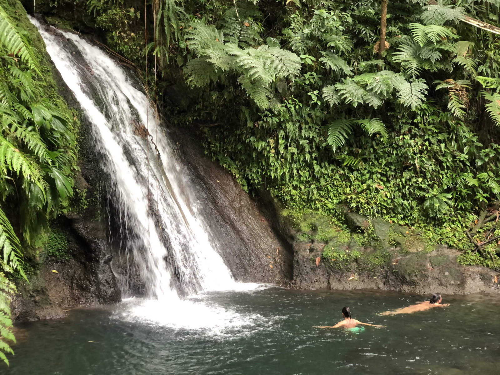 照片 瓜德罗普(Guadeloupe) 螯虾瀑布(Cascade aux ecrevisses) 2021-02 9