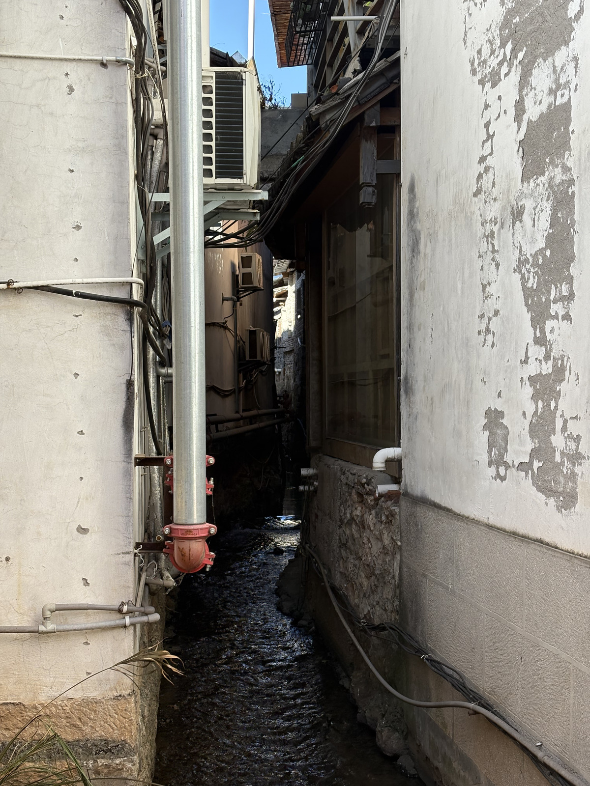 照片 中国(China) 丽江(Lijiang) 2026-01 330
