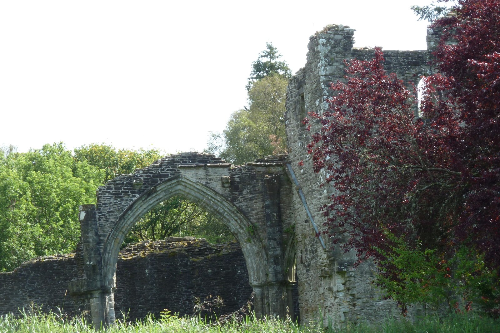 照片 英国(United Kingdom) 苏格兰(Scotland) 英奇马霍姆修道院(Inchmahome Priory) 2011-07 12