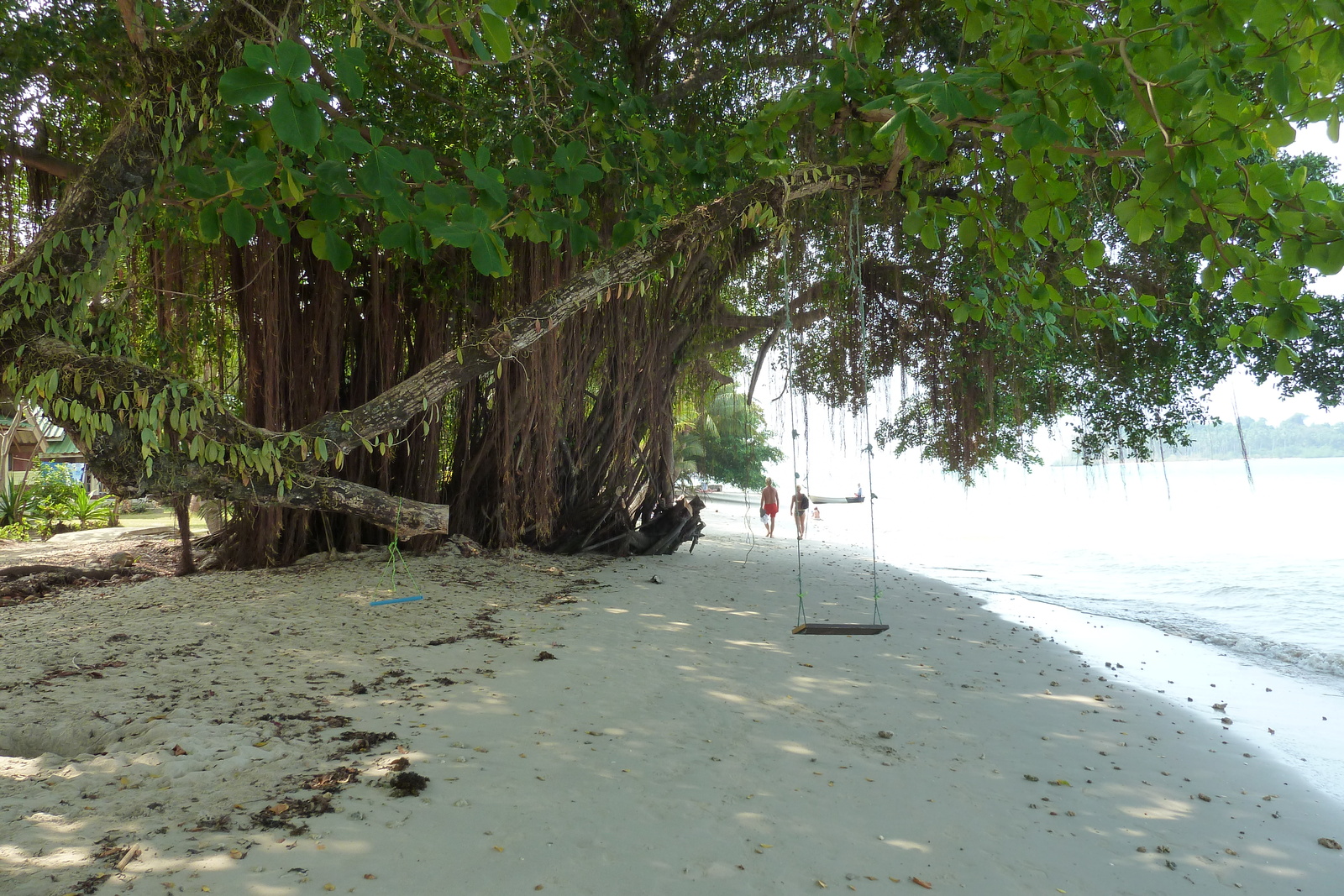 照片 泰国(Thailand) 象岛(Ko Chang) 空帕奥海滩(Klong Prao beach) 2011-02 58