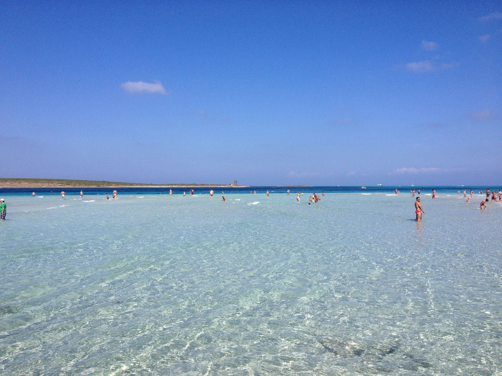 照片 意大利(Italy) 撒丁岛(Sardinia) 猎鹰角(Capo del Falcone) 2015-06 72