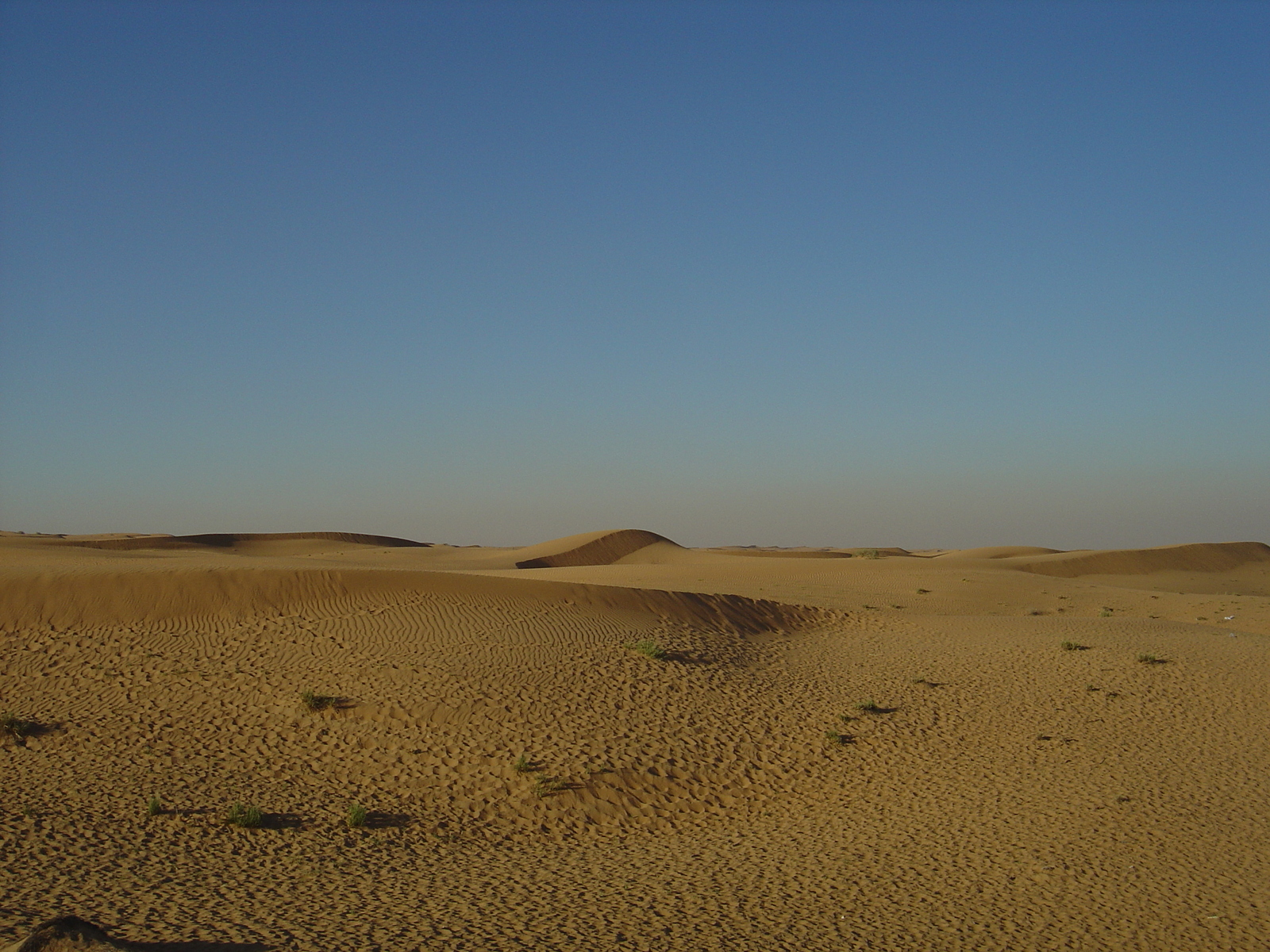 照片 阿联酋(United Arab Emirates) 迪拜至艾因公路(Dubai to Al Ain road) 2005-03 40