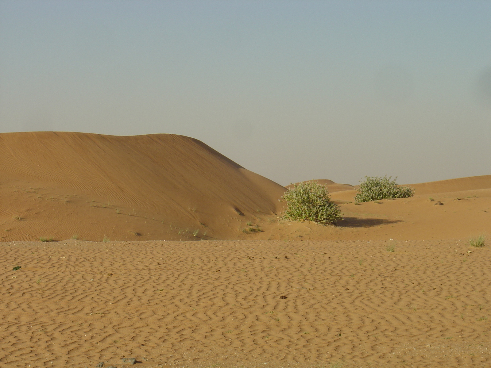 照片 阿联酋(United Arab Emirates) 迪拜至艾因公路(Dubai to Al Ain road) 2005-03 48